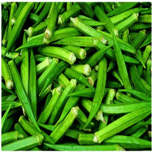 Lady Finger